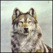 maksi-leonid